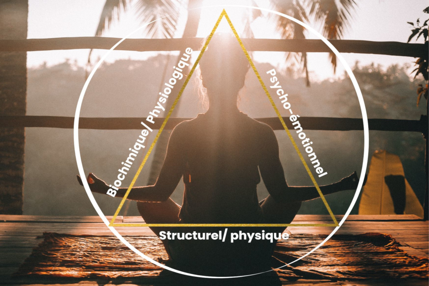 Consultation de Kinésiologie